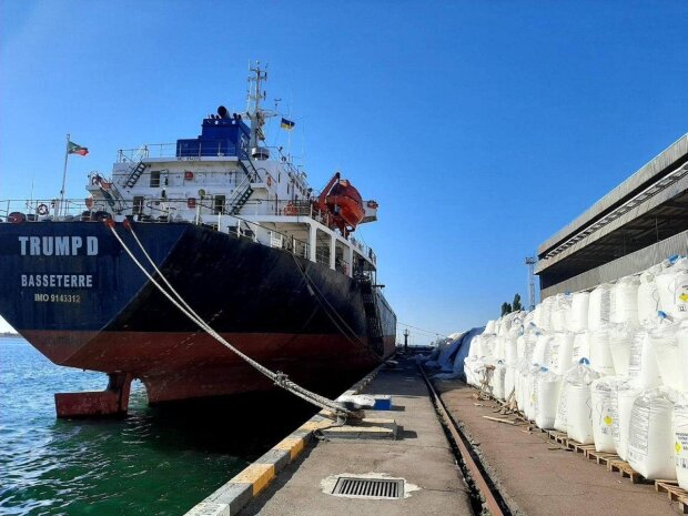 В порту під Одесою зберігається 9,6 тис тон селітри: чи може вона вибухнути?