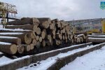 Поліцейський забезпечував супровід автівкам, що здійснювали вивезення незаконно-зрубаної деревини з Чорнобиля