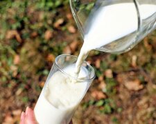 В Україні стрімко зростає ціна на молоко та молочні продукти