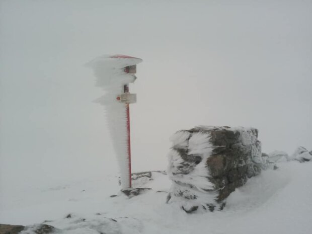 Карпати червень зустріли снігопадом (фото, відео)