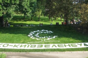 ДФС розслідує десять справ про розкрадання київського бюджету