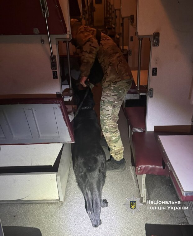 Потяг «Будапешт–Київ» екстрено зупиняли через «замінування»