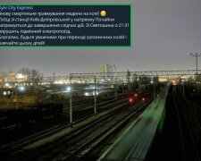 На столичній станції міської електрички "Київ-Дніпровський" людина потрапила під потяг