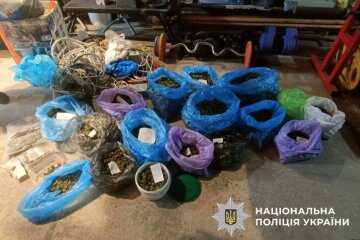 Наркофермер зі Ржищева: поліція вилучила 14 кг канабісу в морозилках