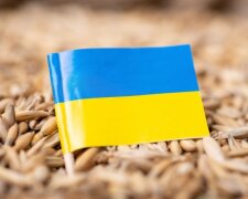 Посол України заявив, що Туреччина купує в росії крадене українське зерно