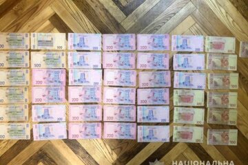 У Борисполі молодик організував мережу підкупу виборців