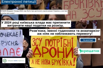 Петиція на сайті Київради про виділення коштів на військових, а не другорядні проєкти набрала необхідну кількість підписів