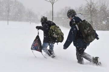 Школи Київщини в понеділок працюватимуть дистанційно, дитсадки - у звичному режимі — КОВА