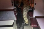 Потяг «Будапешт–Київ» екстрено зупиняли через «замінування»