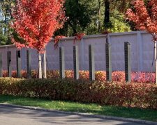 У Києві черговий скандал пов'язаний із блокуванням розширення Алеї пам’яті