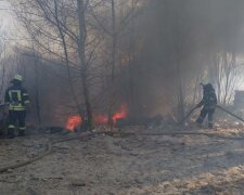 Через підпали трави та сміття в Києві та області за добу сталось більше 60 пожеж