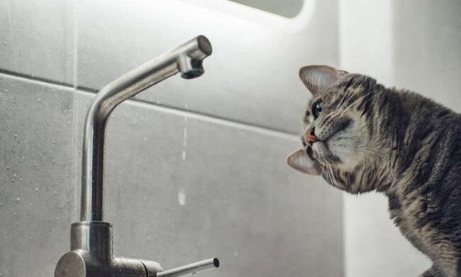 Десять вулиць Києва залишились без води