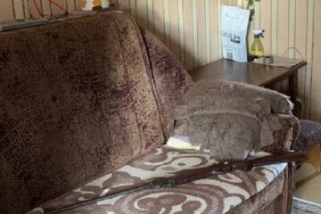 На Київщині пенсіонер з балкону стріляв з рушниці по людям, є поранені