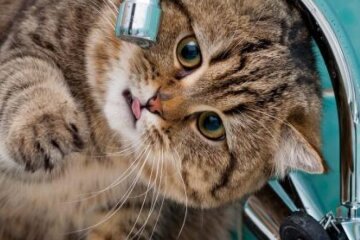 Напередодні Різдва кияни залишилися без води: адреси