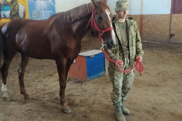 На столичному Іподромі іпотерапією повертають військовим радість до життя