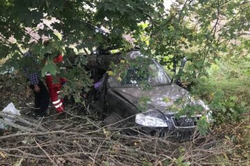 На Київщині в аварії загинули троє пенсіонерів