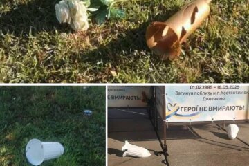 Невідомі вчинили акт вандалізму на Алеї Героїв у Василькові
