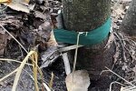 У Бучанському р-ні Київщини чоловік замість грибів знайшов розтяжку