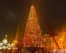 Дарує новорічний настрій: у Києві запалили вогні на головній ялинці країни