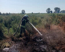 Під Києвом з самого ранку горять торф’яники