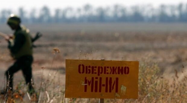 Окупанти пошкодили третину родючих земель України