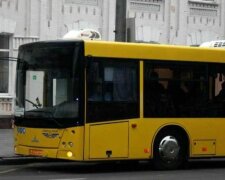 У Києві повернули автобусний маршрут №105 — возитиме пасажирів із віддаленої лісової зони до Дарниці