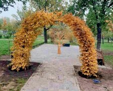 Дерево-серце та романтична арка: в столичному парку з’явились нові арт-об’єкти (фото)