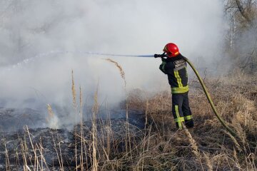 Київ та передмістя страждають від пожеж