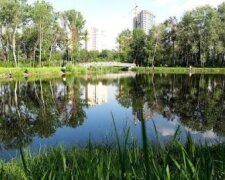 На Київщині виявили небезпечні мікроорганізми в одному зі ставків Обухова