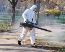 Пауза для прогулянок: парк «Кіото» обробили від кліщів, киян просять почекати до полудня
