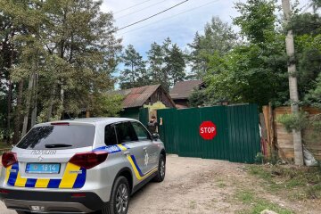 На власницю притулку для тварин поскаржились у поліцію - правоохоронці Київської області завели справу
