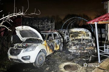 У Києві чоловік підпалив три авто колишньої дружини та напав з сокирою на її нового чоловіка