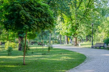 У Києві назвали ТОП 10 кроків для вирішення екологічних проблем столиці