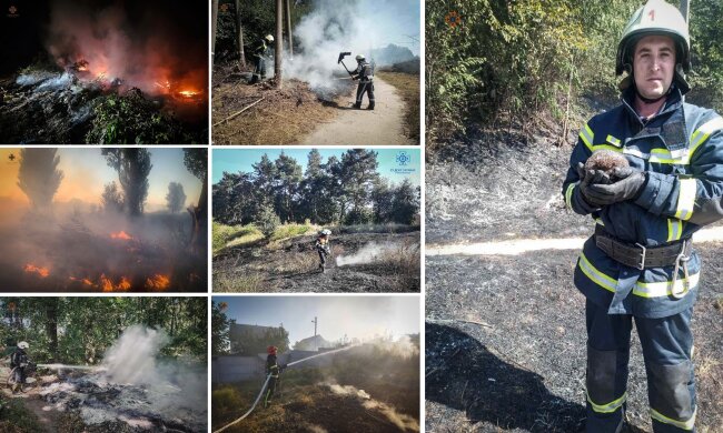 На Київщині за вихідні загасили 80 пожеж – є загиблі та постраждалі