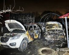 У Києві чоловік підпалив три авто колишньої дружини та напав з сокирою на її нового чоловіка