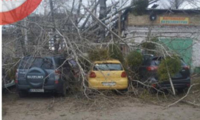 У Києві дерево впало на СТО і потрощило автівки