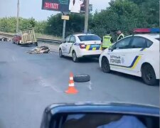 У Голосіївському районі з причепа випали дві корови