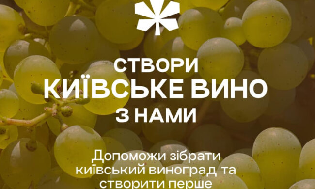 У столиці запрошують збирати виноград, аби відтворити традицію "київського вина"