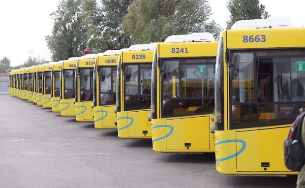 Київ набуває двісті нових автобусів