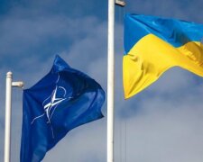 Північноатлантична рада НАТО приїде в Одесу