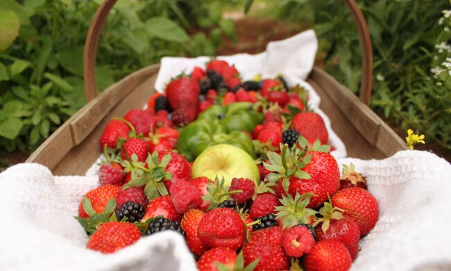 Які українські продукти найбільш полюбляють у Європі