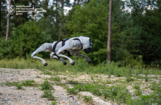Новітній роботизований помічник саперів МРЦШР ДСНС, собака-робот, допомагатиме розміновувати Київщину