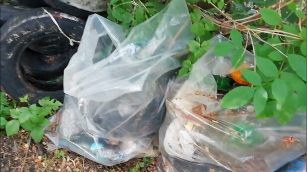 Шини, пляшки та інше сміття: водолази почистили колектор на озері в Дарниці (відео)