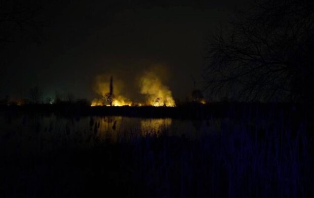 У київському екопарку "Осокорки" внаслідок пожежі вигоріло кілька гектарів території - чиновники звернулись до поліції