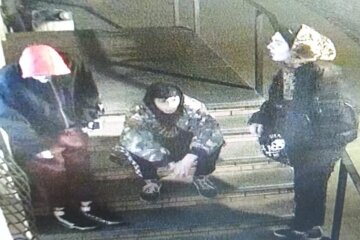 Фото та відео молодиків, які пошкодили підсвітку на Алеї художників, передали до поліції (відео)