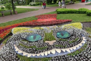 На День Києва чарівний пеньок у парку Перемога виконуватиме бажання