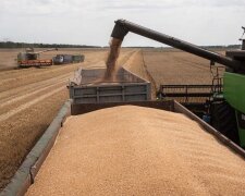 “Зерновий коридор” відновить свою роботу і без згоди Росії: в ООН назвали дату