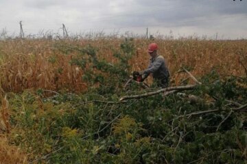 На Київщині через негоду 2 дні поспіль - без світла понад 70 000 родин