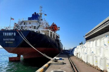 В порту під Одесою зберігається 9,6 тис тон селітри: чи може вона вибухнути?