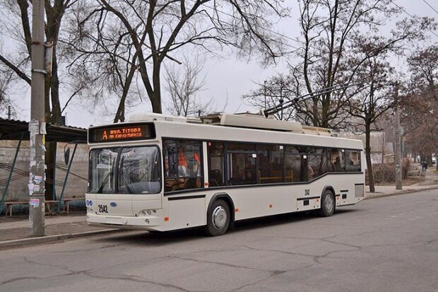 Біла Церква готується вкласти 9,1 млн гривень у паливо для тролейбусів